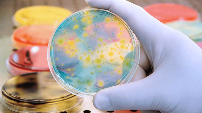 移动PCR实验室：移动性背后的技术考量