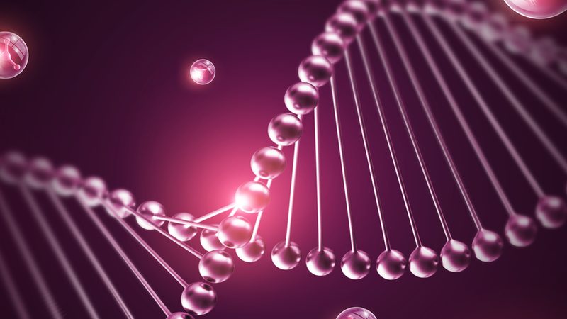 CDMO定制研发设备清单：揭秘医药研发中的关键装备