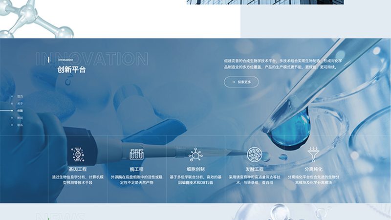 生物科技公司研发成功率：揭秘背后的关键因素**