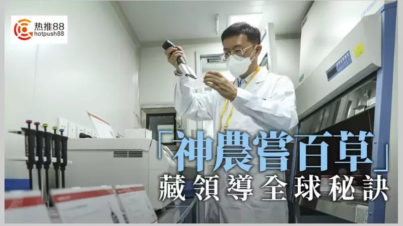 小分子CDMO服务，价格背后的考量因素**