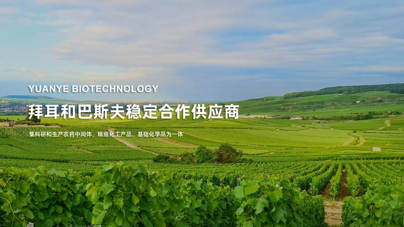 生物科技试剂：揭秘其优缺点，助力科研之路**