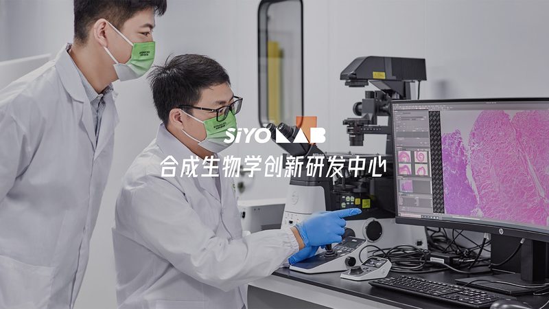 注册一件生物制品，代理费用究竟花在哪里