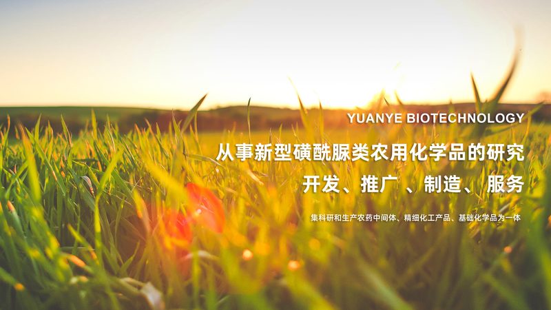 生物医药外包与自主开发，哪条路更适合您的项目？**