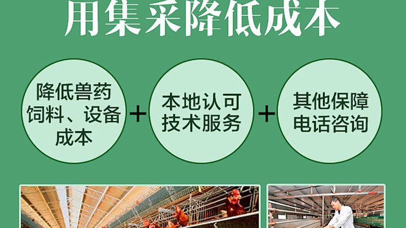 国内CDMO公司崛起，揭秘十大品牌背后的实力与挑战
