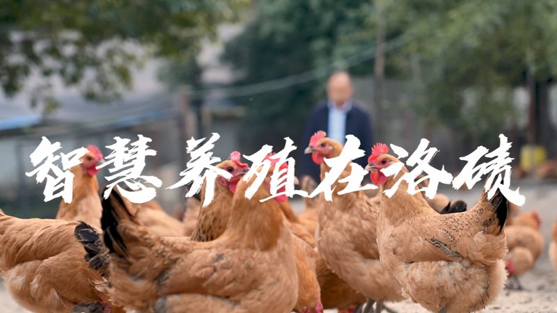 临床试验分期0期和I期：关键差异与理解