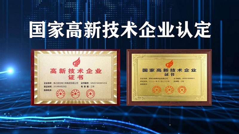 原料药CDMO定制公司：揭秘其选择背后的考量因素
