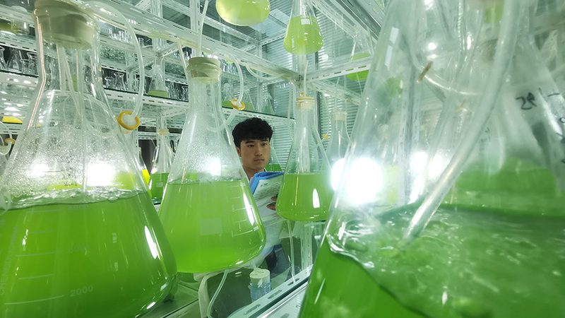 基因检测实验室许可证申请：关键步骤与注意事项